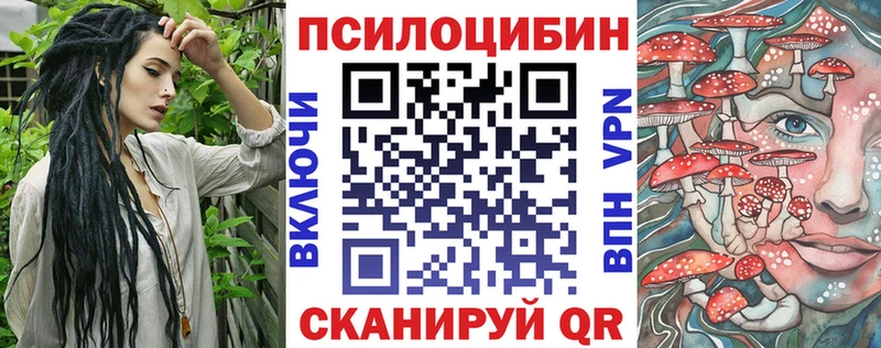 Купить где  Саратов  Псилоцибиновые грибы Psilocybe 